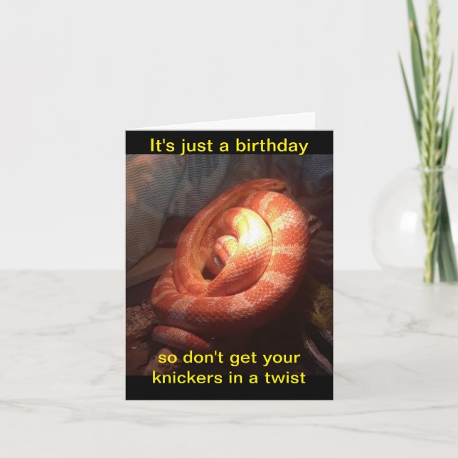 Carte de vœux d'anniversaire serpent avec culotte  (Devant)