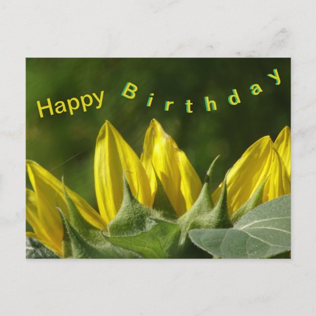 Carte de vœux d'anniversaire Tournesol (Devant)