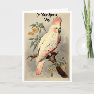 Carte de vœux d'anniversaire vintage oiseau tropic