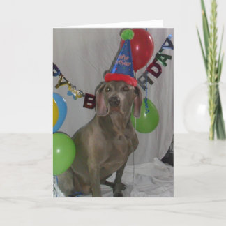 Carte de voeux d'anniversaire Weimaraner
