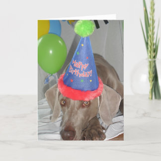 Carte de voeux d'anniversaire Weimaraner
