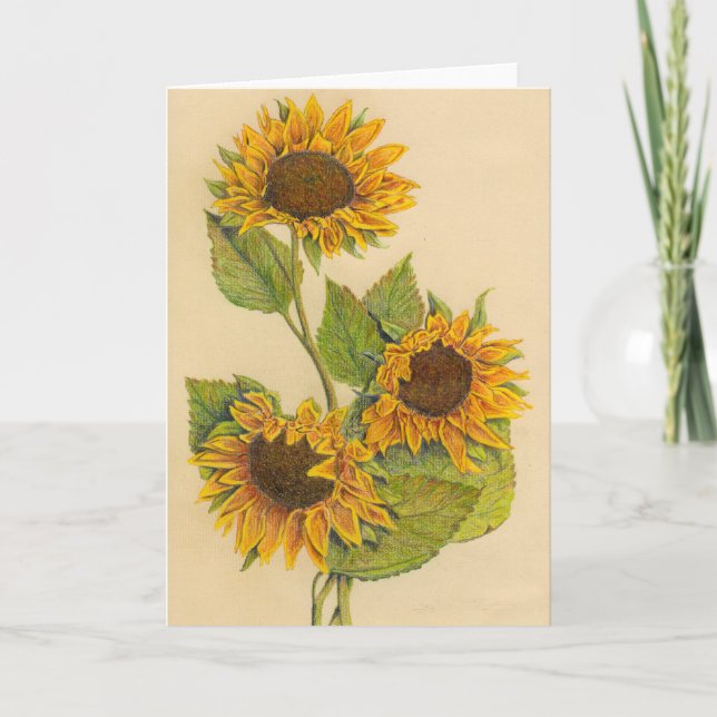 Carte de voeux de 3 tournesols (blanc à (Devant)