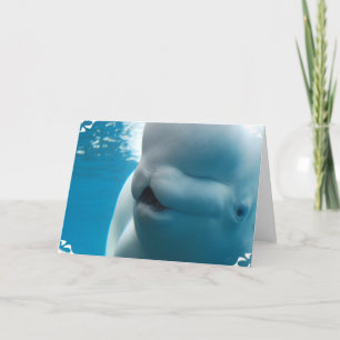 Carte de voeux de baleine de beluga