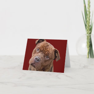 Carte de voeux de "benz" de Pitbull