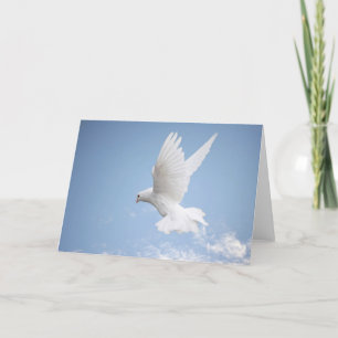 Carte de voeux de blanc de colombe de blanc