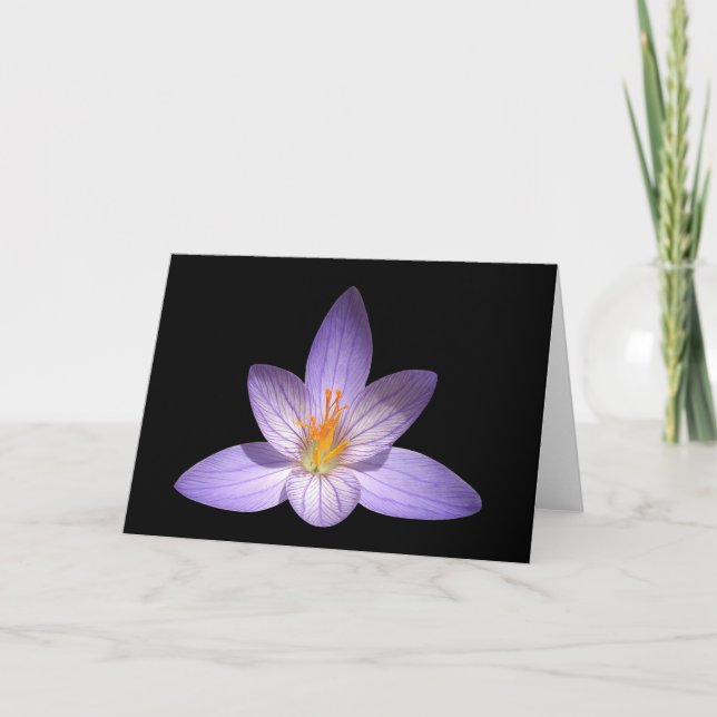 Carte de voeux de blanc de fleur de zen (Devant)