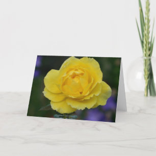 Carte de voeux de blanc de rose jaune