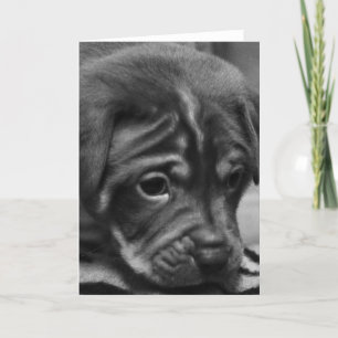 Carte de voeux de blanc de visage de chiot