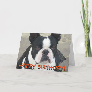Carte de voeux de Boston Terrier