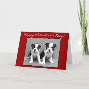 Carte de voeux de Boston Terrier de heureuse