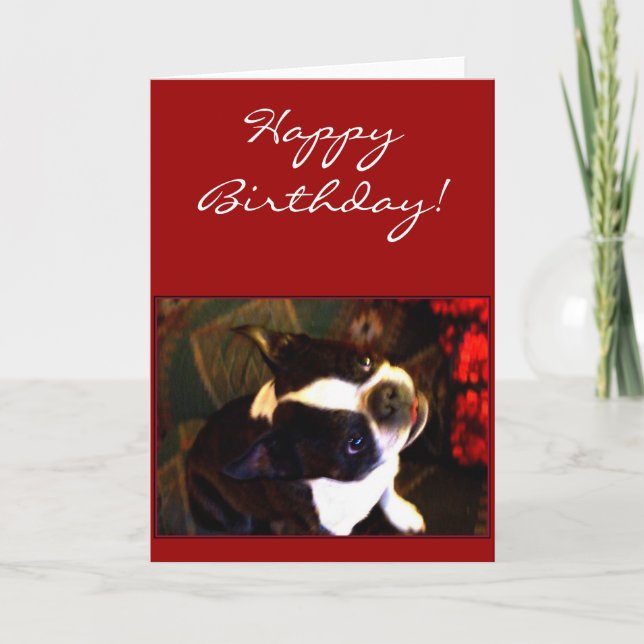 Carte de voeux de Boston Terrier de joyeux (Devant)