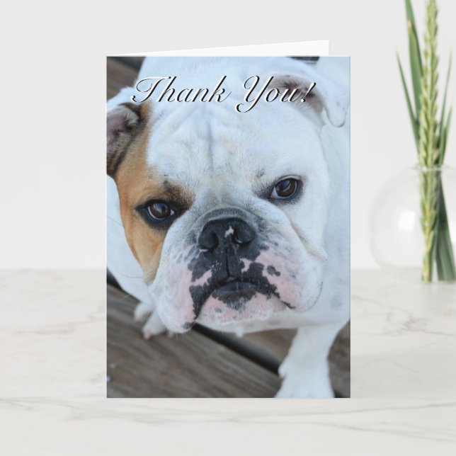 Carte de voeux de bouledogue de Merci (Devant)