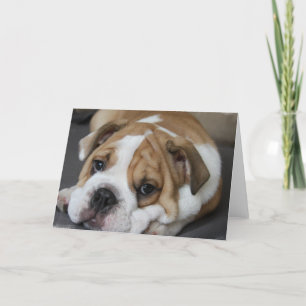 Carte de voeux de bouledogue de sommeil