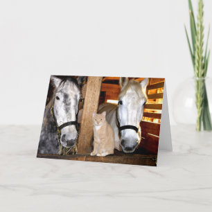 Carte de voeux "de bourgeons stables"
