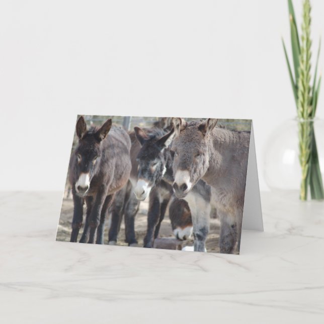 Carte de voeux de Burro (Devant)