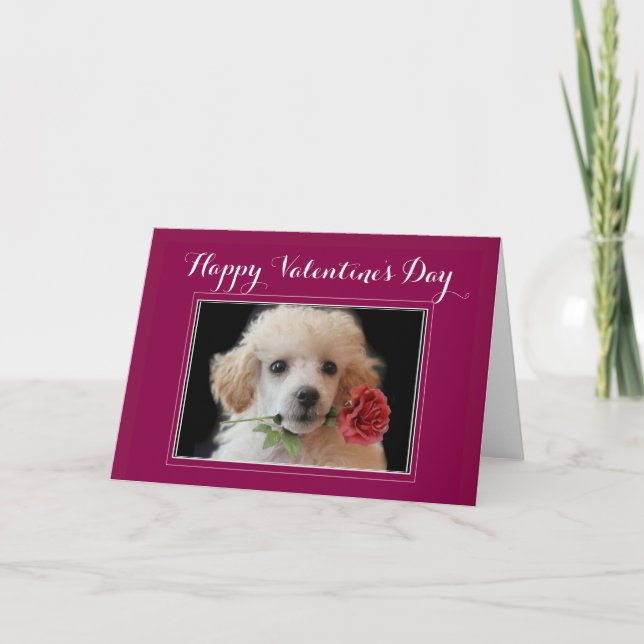 Carte de voeux de caniche de la Saint-Valentin (Devant)