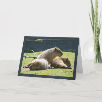 Carte de voeux de Capybara - anniversaire de Capy