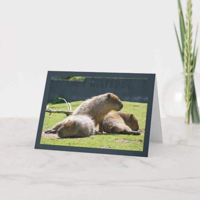Carte de voeux de Capybara - anniversaire de Capy (Devant)