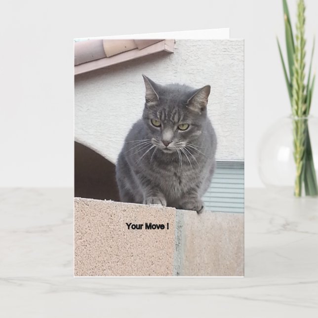 Carte de voeux de chat. (Devant)