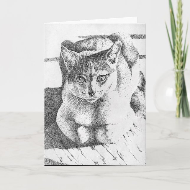 Carte de voeux de chat (Devant)