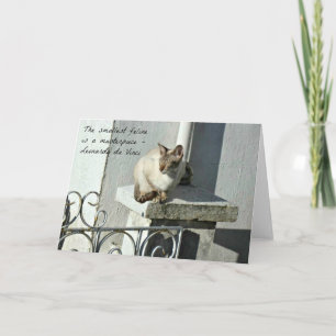 Carte de voeux de chat avec devis