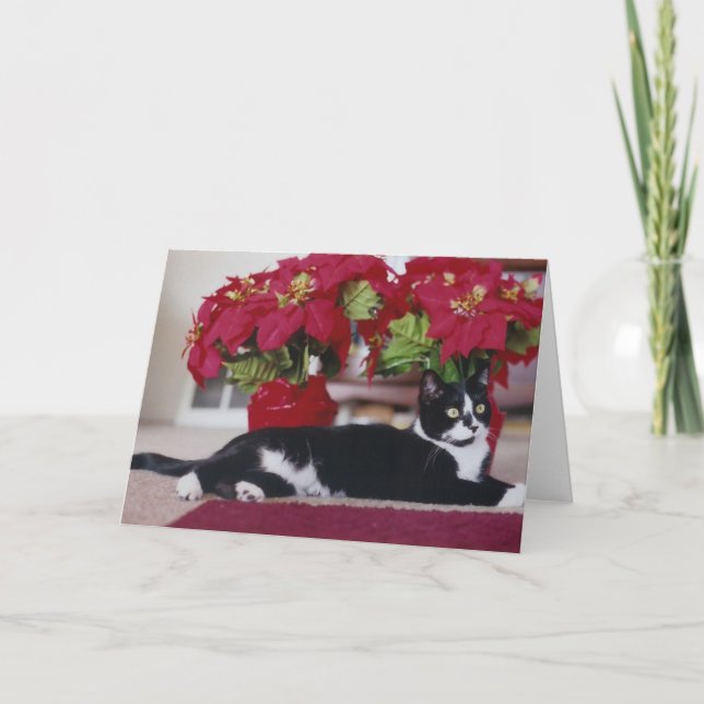 Carte de voeux de chat de Noël (Devant)