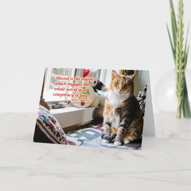 Carte de voeux de chat de vacances (Devant)