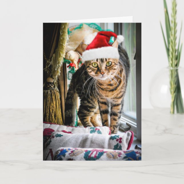 Carte de voeux de chat de vacances (Devant)