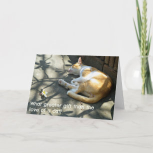 Carte de voeux de chat - Quel cadeau plus grand?