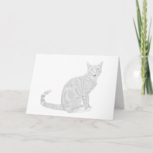 Carte de voeux de chat Tabby Dessin au crayon