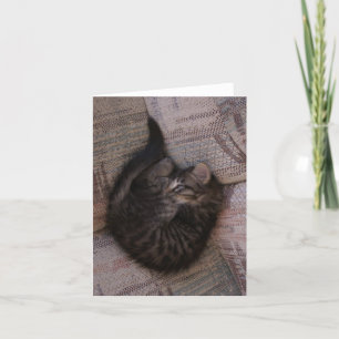 Carte de voeux de chaton de yoga