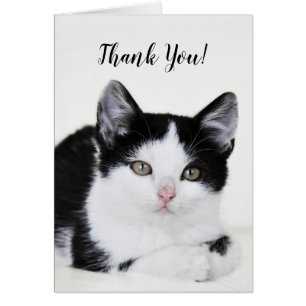 Carte de vœux de chaton pensif noir et blanc