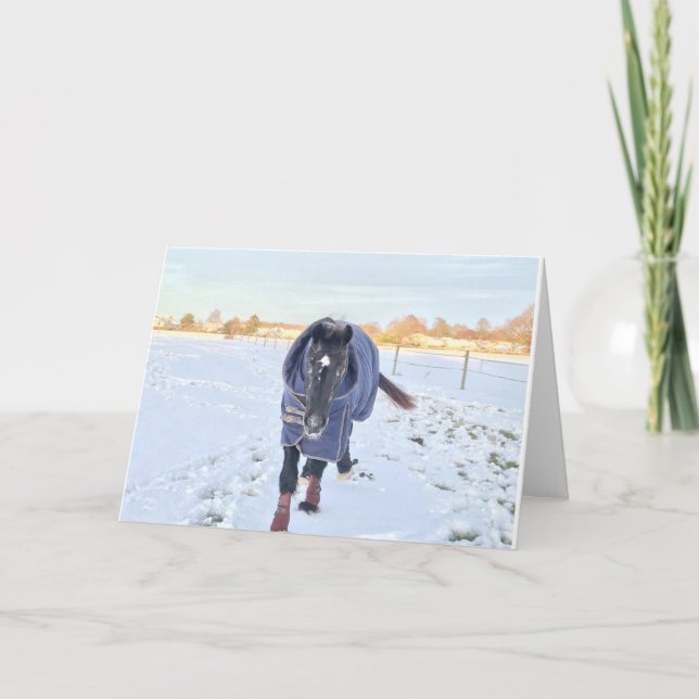 Carte de voeux de cheval de neige (Devant)