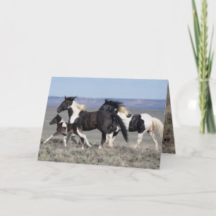 Carte de voeux de Cheval Sauvage - Gadriel et sa f
