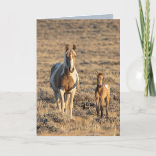 Carte de voeux de Cheval Sauvage - Grace et Donata