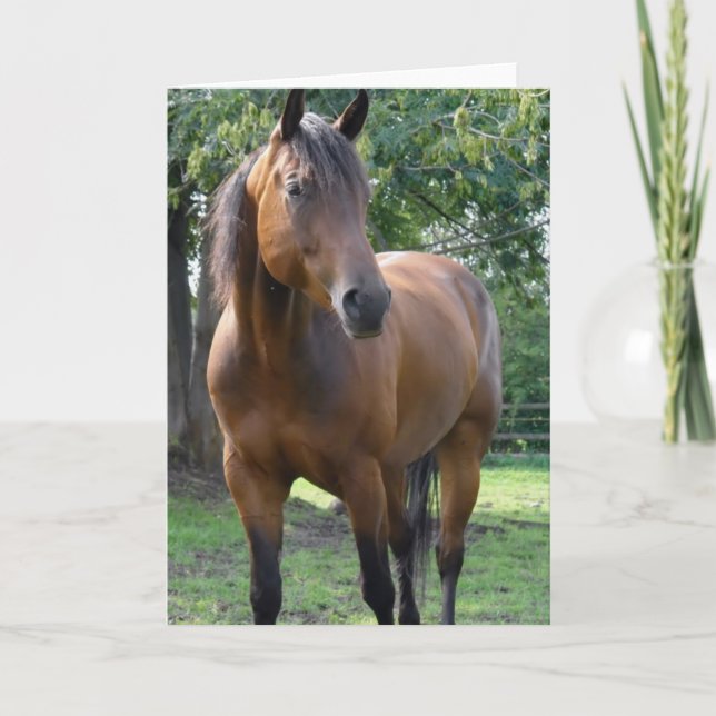 Carte de voeux de Cheval Thoroughbred Bay (Devant)