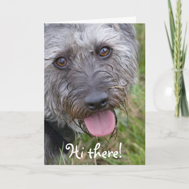 Carte de voeux de chien à l'air drôle (Devant)