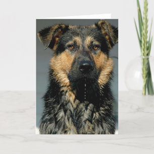 Carte de voeux de chien berger allemand