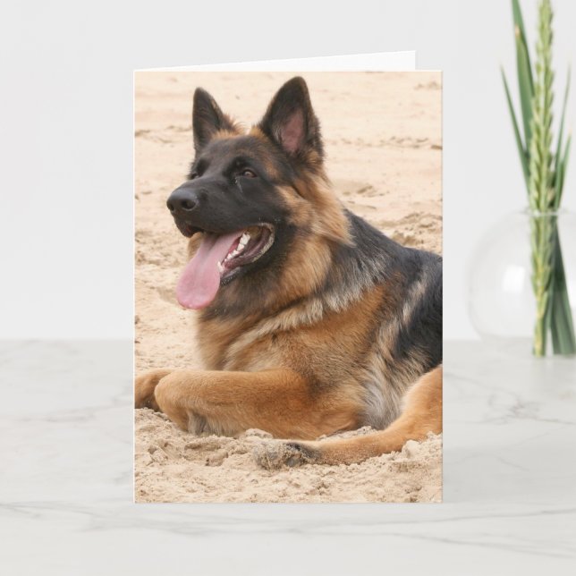Carte de voeux de chien berger allemand reposant (Devant)