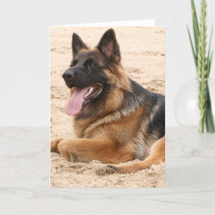 Carte de voeux de chien berger allemand reposant