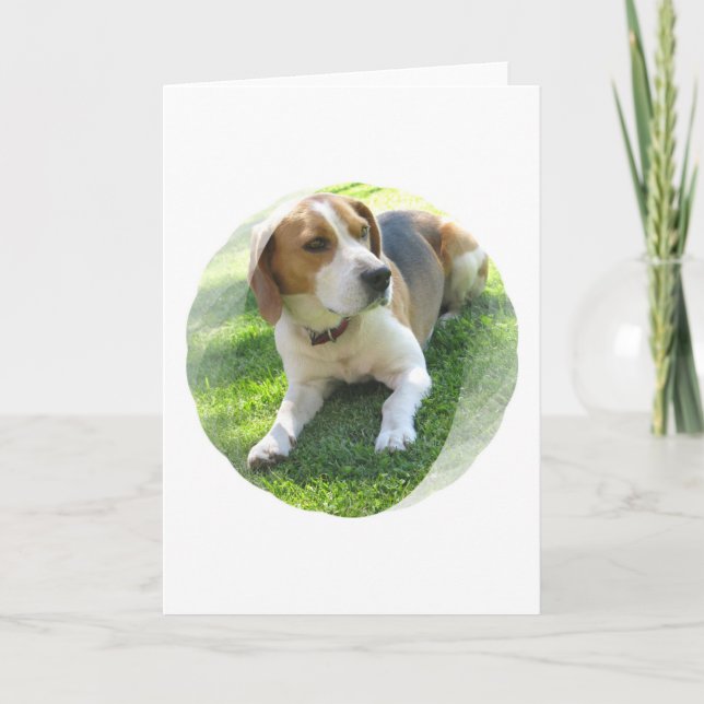 Carte de voeux de chien de chasse de beagle (Devant)