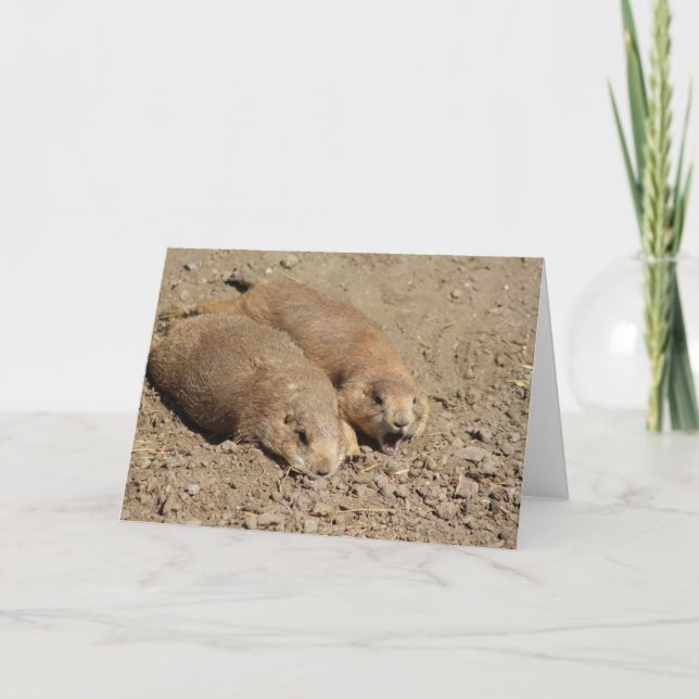 Carte de voeux de chien des Prairies de Yawning (Devant)
