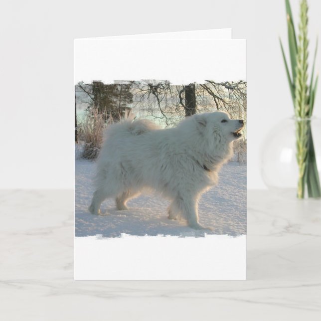 Carte de voeux de chien des Pyrénées (Devant)