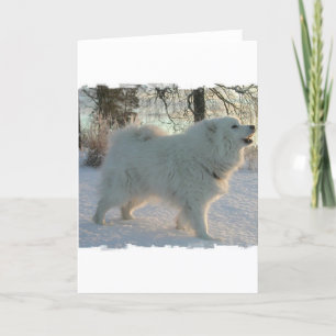 Carte de voeux de chien des Pyrénées