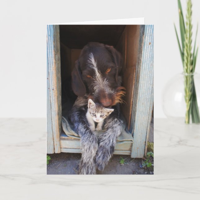 Carte de voeux de chien et de chaton de merci (Devant)