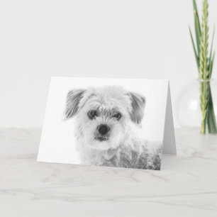 Carte de voeux de chien maltais
