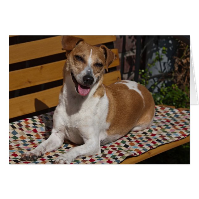 Carte de voeux de chien relaxant (Devant horizontal)