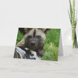 Carte de voeux de chien sauvage africain