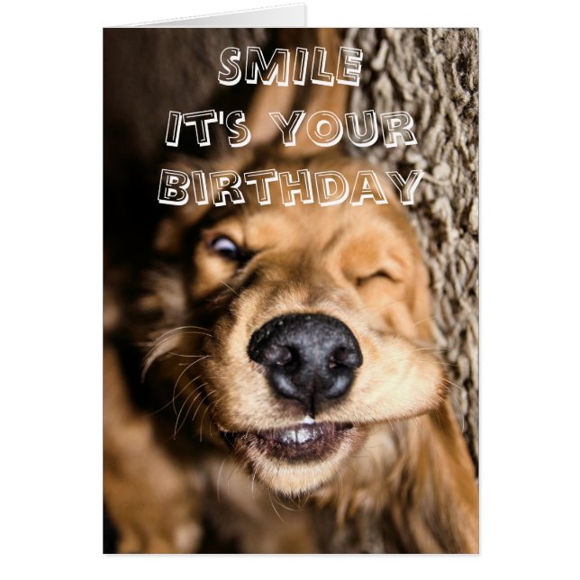 Carte de voeux de chienchien d'anniversaire (Devant)