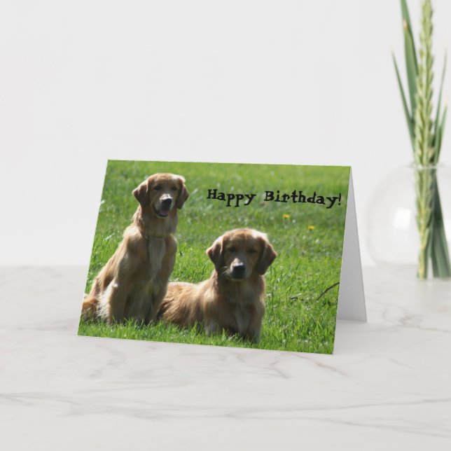 Carte de voeux de chiens d'arrêt d'or de joyeux (Devant)